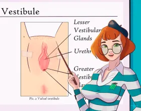 SexEd Course